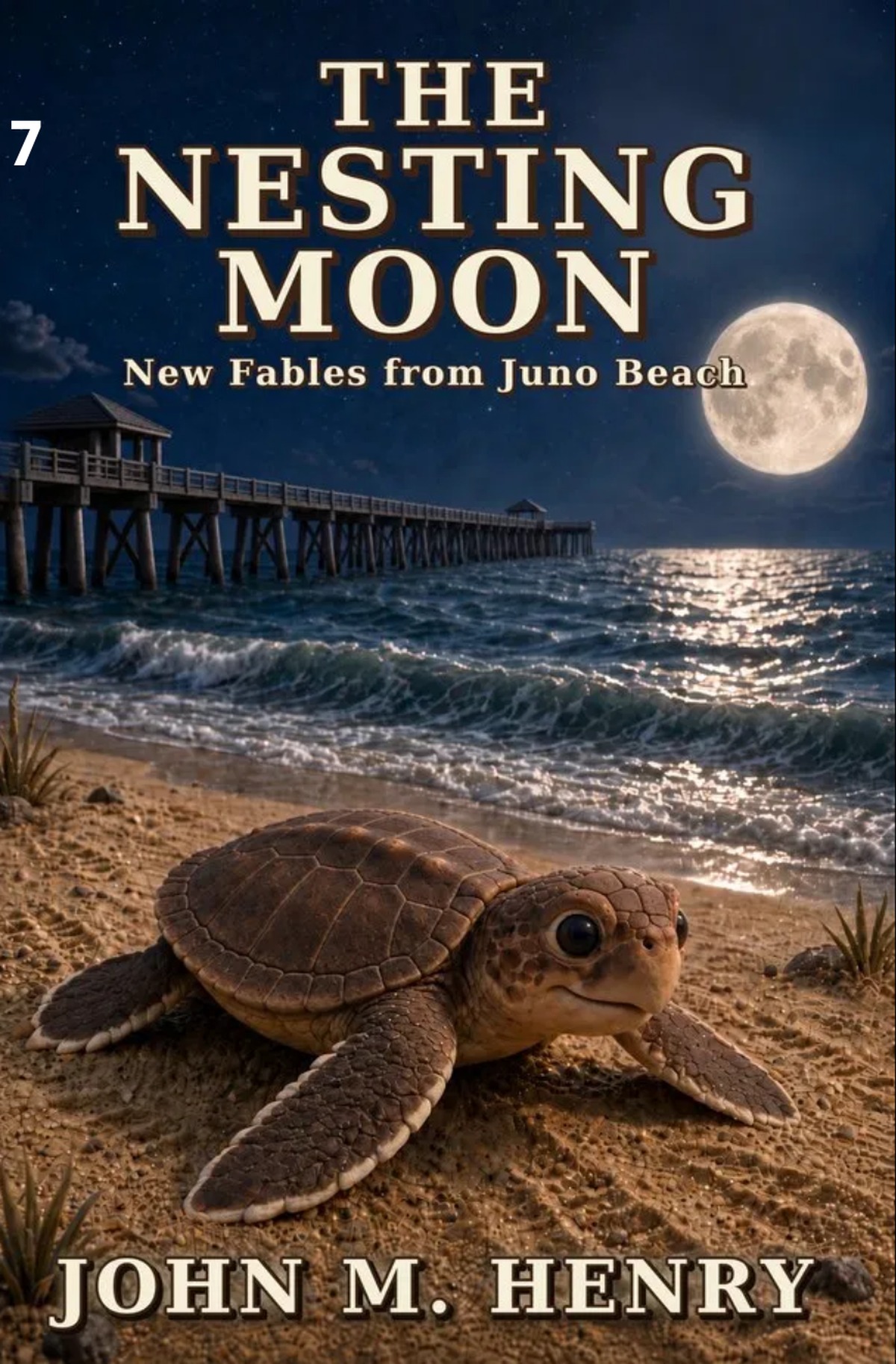 Cover of The Nesting Moon: New Fables from Juno Beach by John M. Henry